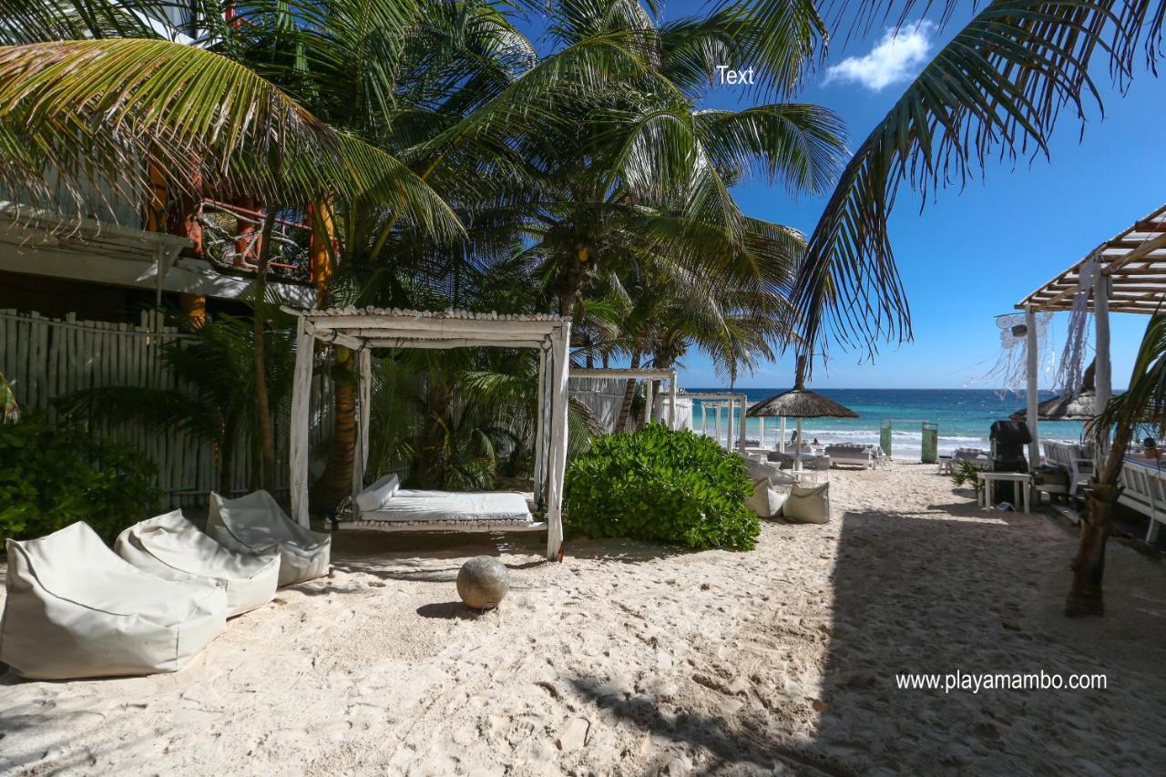 PLAYA MAMBO ECO CABANAS TULUM: BOOK YOUR STAY IN TULUM AND ENJOY GREAT ...